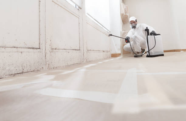 24/7 Emergency Mold Cleanup experts in Spring City, TN